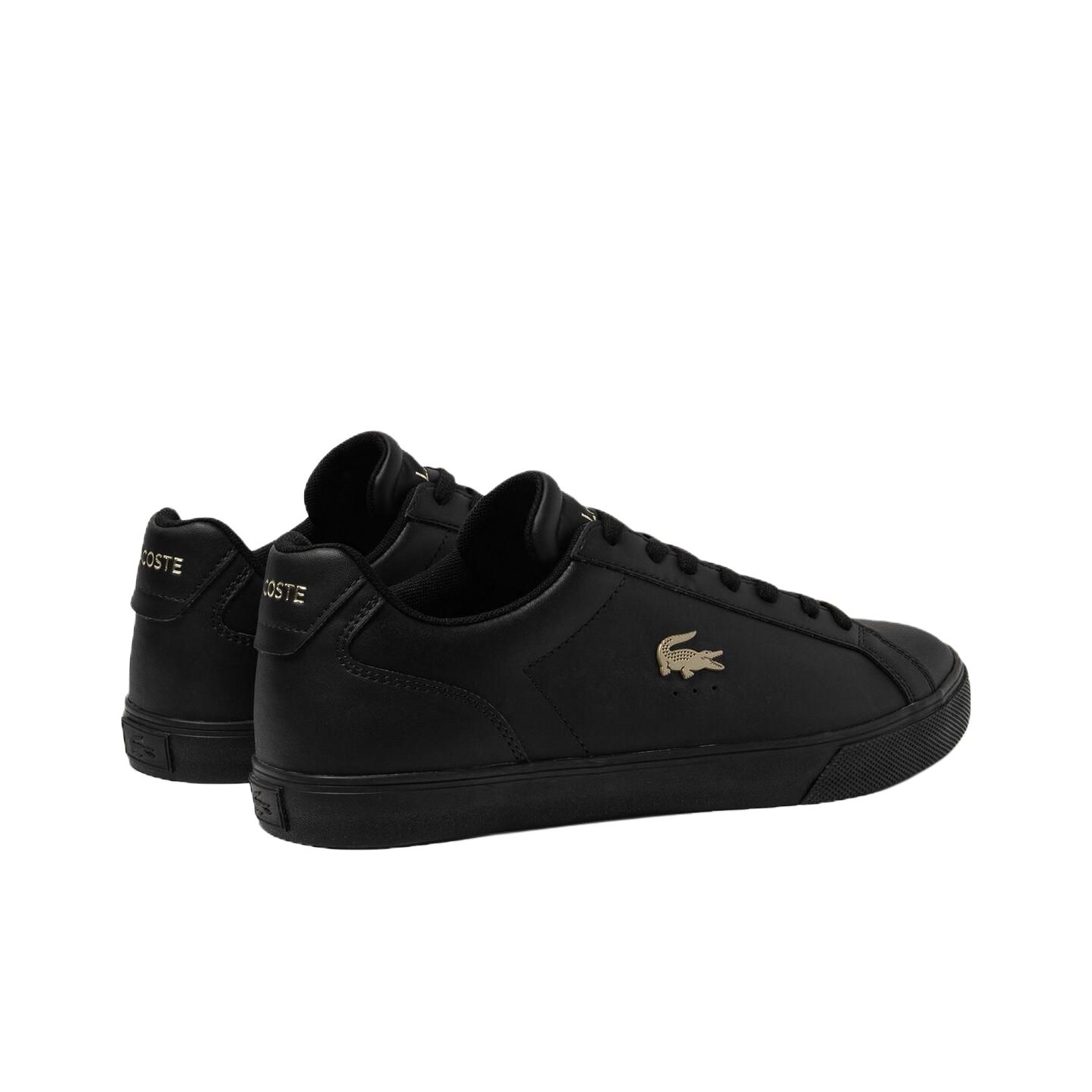 LACOSTE Tênis de skate de cano - Men Shoes Lacoste avaliação e preço